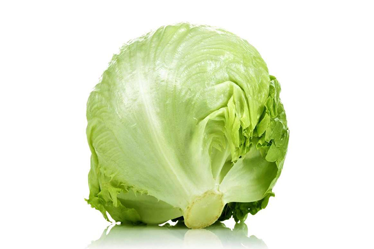 Aysberk Lettuce