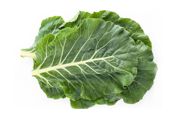 Black Sea Cabbage