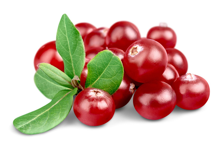 Cranberry