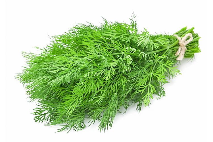 Dill