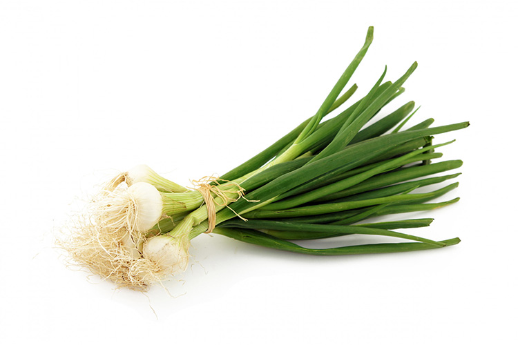 Fresh onion