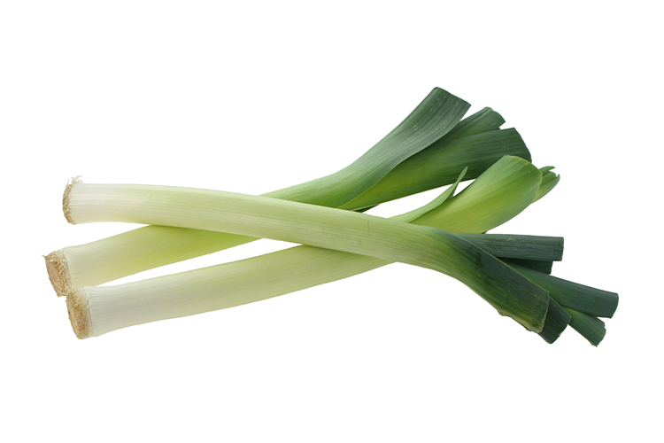 Leek