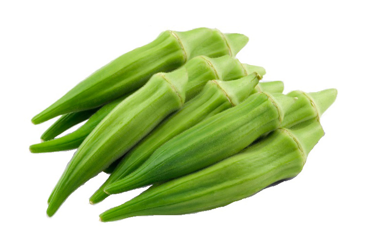 Okra