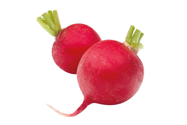 Red radish