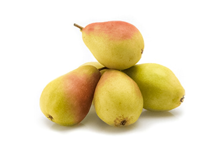 Santamaria Pear