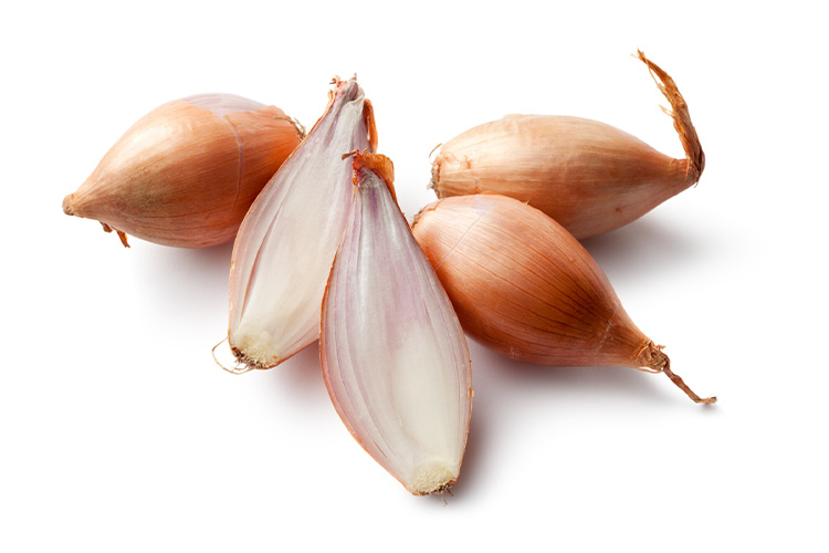 Shallot Onion