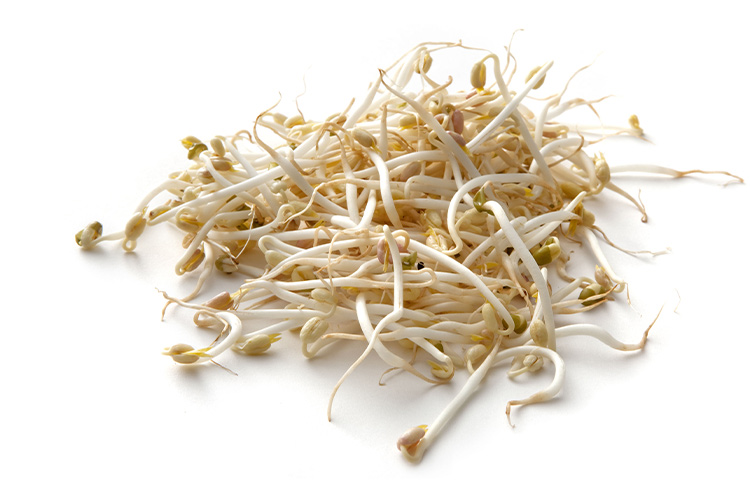 Soybean Sprouts