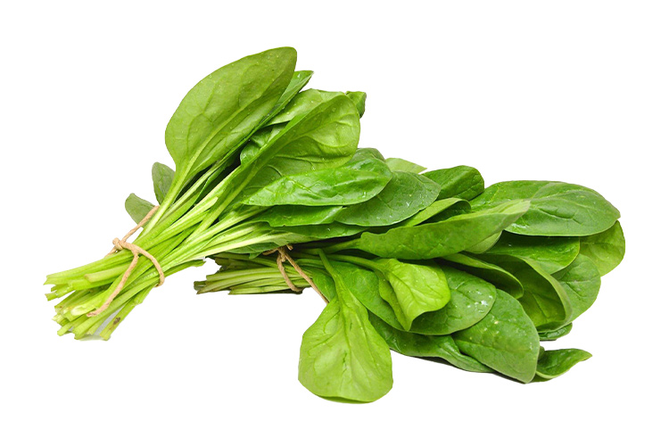 Spinach