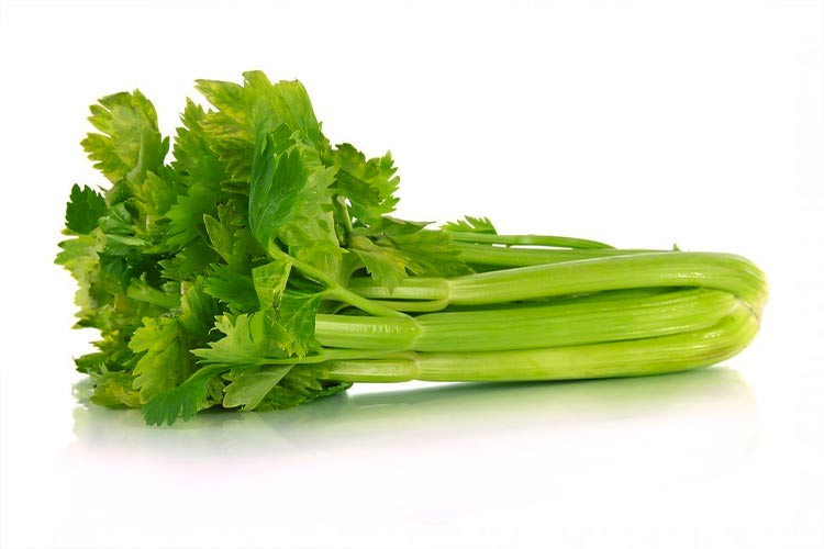 Stem Celery