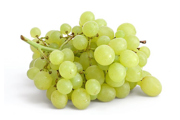 White Grape