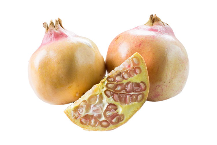 White Pomegranate